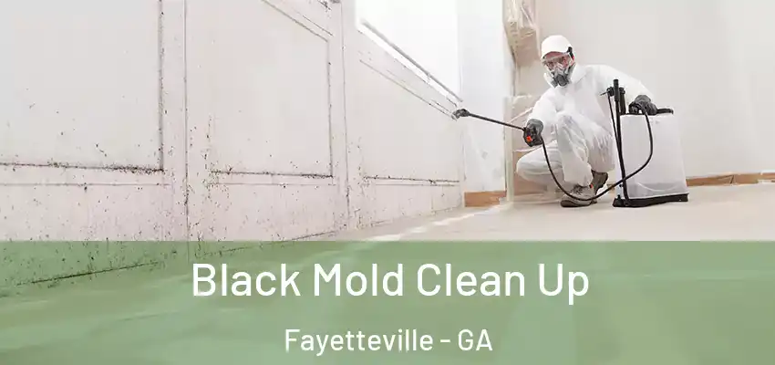 Black Mold Clean Up Fayetteville - GA