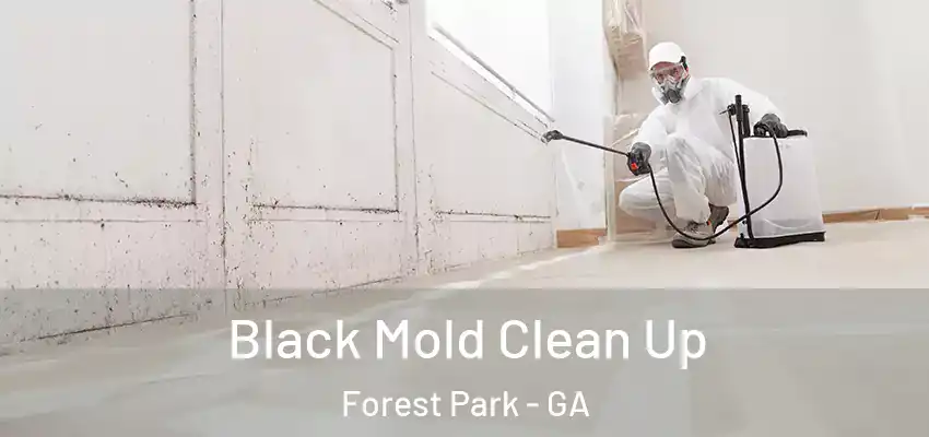 Black Mold Clean Up Forest Park - GA