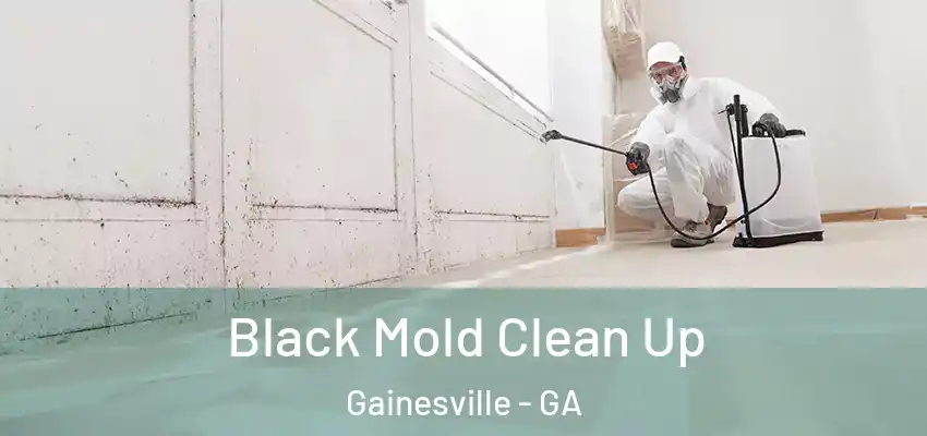 Black Mold Clean Up Gainesville - GA
