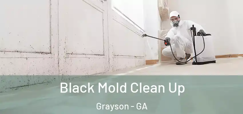  Black Mold Clean Up Grayson - GA