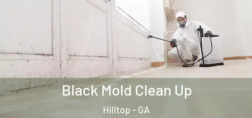  Black Mold Clean Up Hilltop - GA