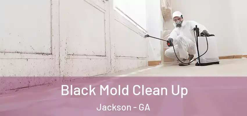  Black Mold Clean Up Jackson - GA