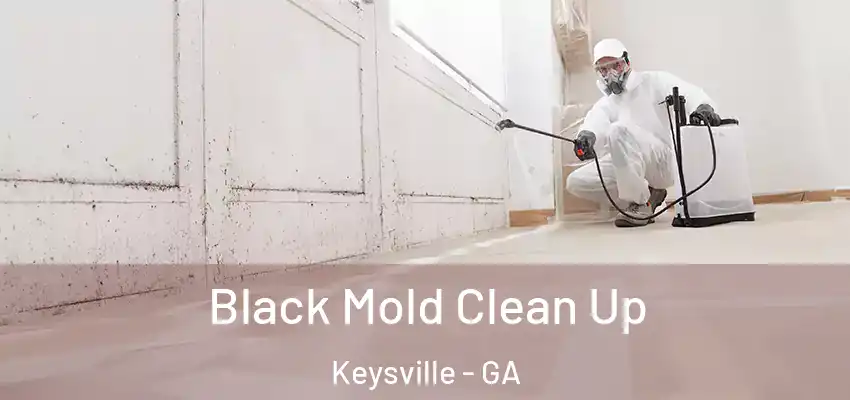 Black Mold Clean Up Keysville - GA