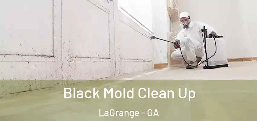  Black Mold Clean Up LaGrange - GA