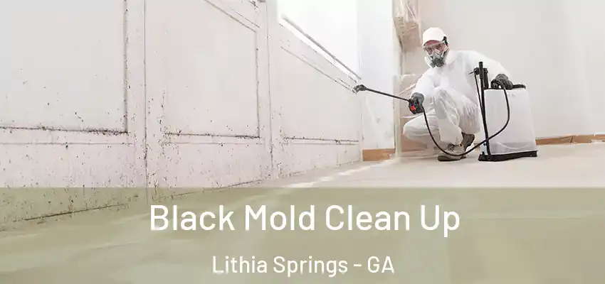  Black Mold Clean Up Lithia Springs - GA