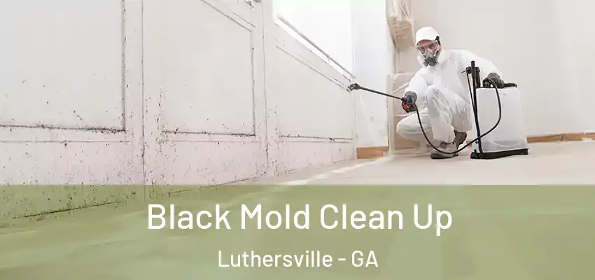  Black Mold Clean Up Luthersville - GA