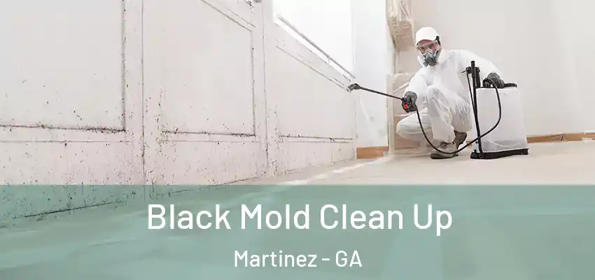 Black Mold Clean Up Martinez - GA