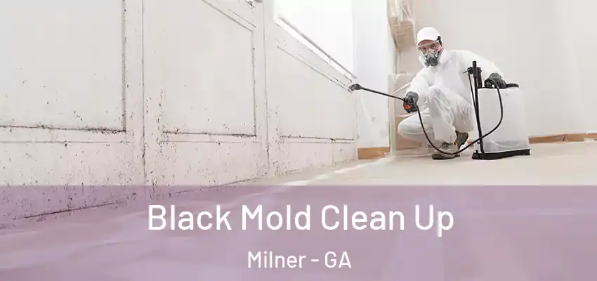 Black Mold Clean Up Milner - GA