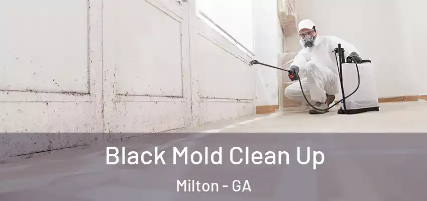 Black Mold Clean Up Milton - GA