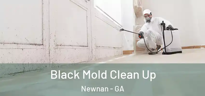  Black Mold Clean Up Newnan - GA