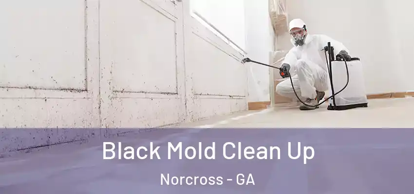  Black Mold Clean Up Norcross - GA
