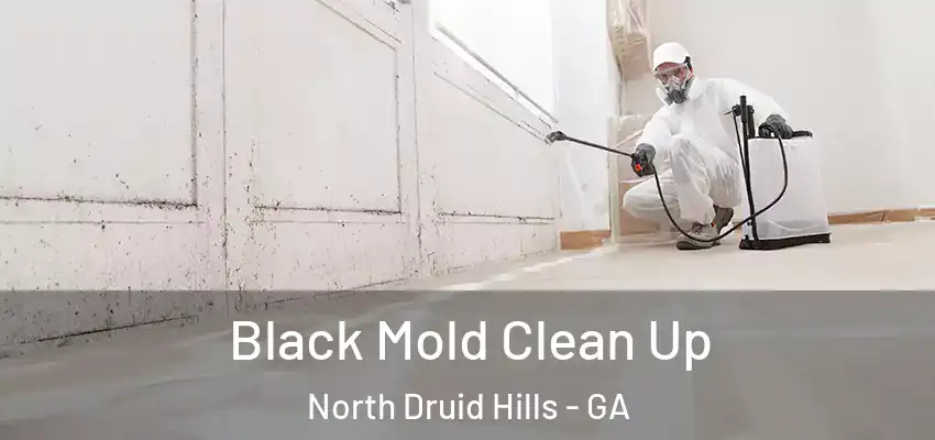  Black Mold Clean Up North Druid Hills - GA