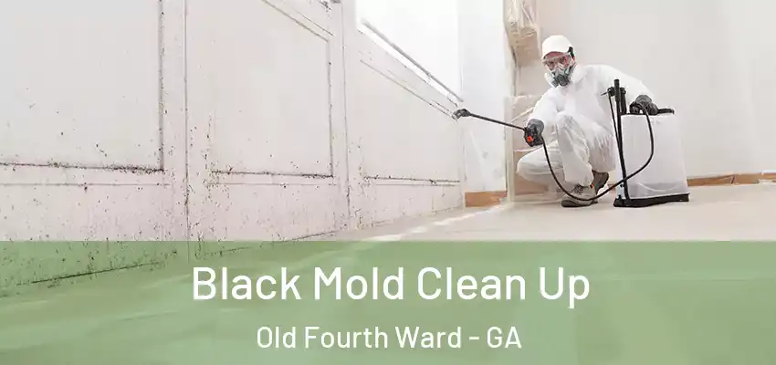  Black Mold Clean Up Old Fourth Ward - GA