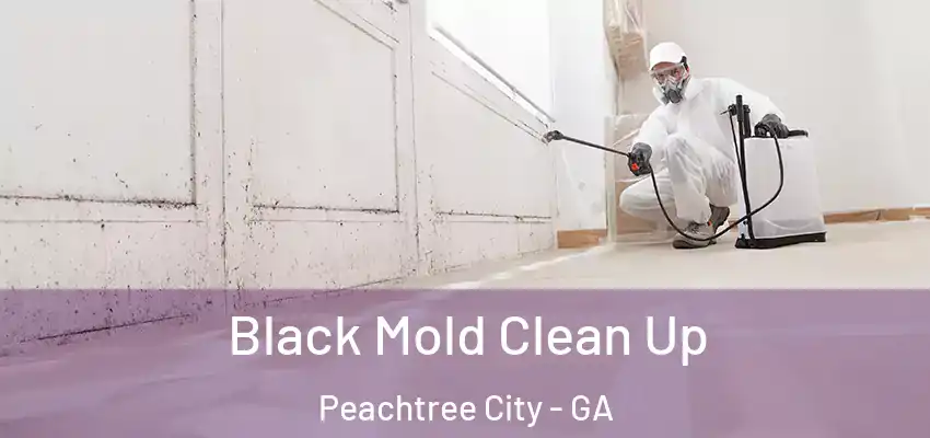  Black Mold Clean Up Peachtree City - GA
