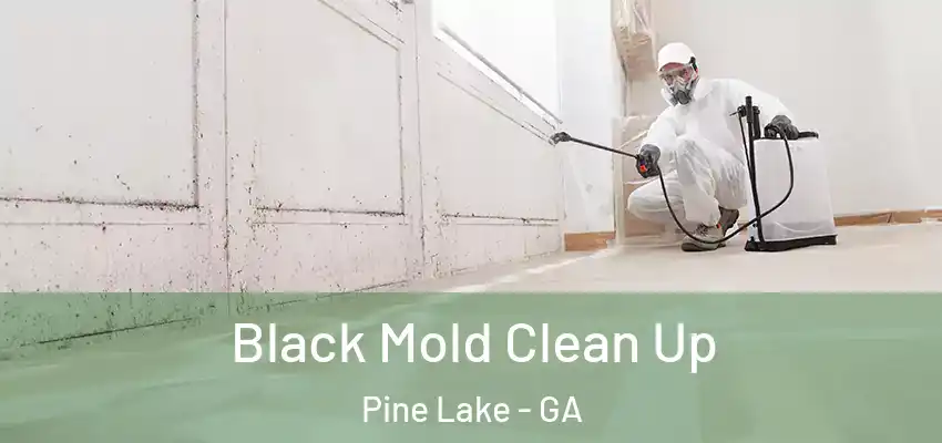 Black Mold Clean Up Pine Lake - GA
