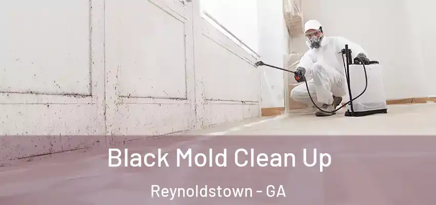  Black Mold Clean Up Reynoldstown - GA