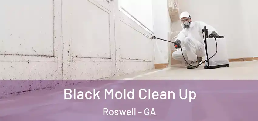 Black Mold Clean Up Roswell - GA