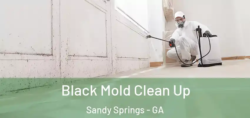  Black Mold Clean Up Sandy Springs - GA