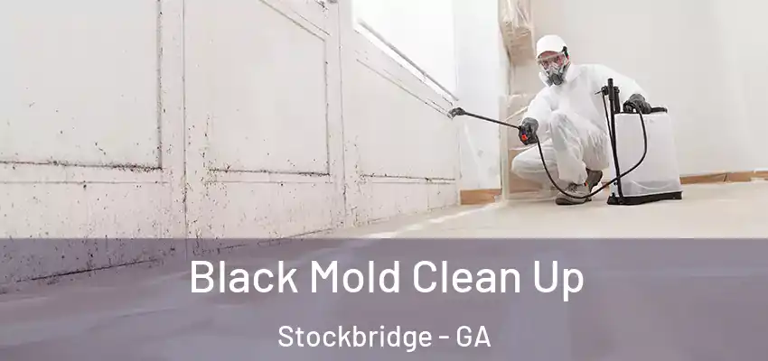  Black Mold Clean Up Stockbridge - GA