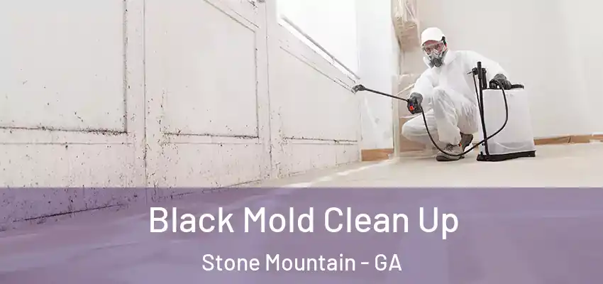 Black Mold Clean Up Stone Mountain - GA