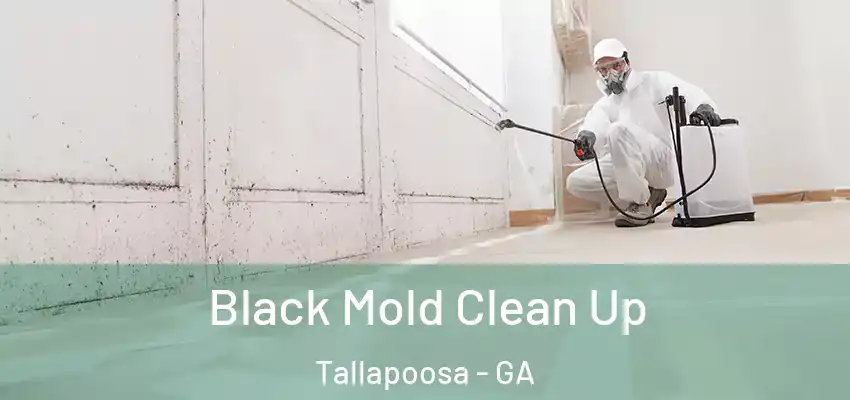  Black Mold Clean Up Tallapoosa - GA