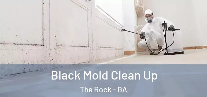  Black Mold Clean Up The Rock - GA