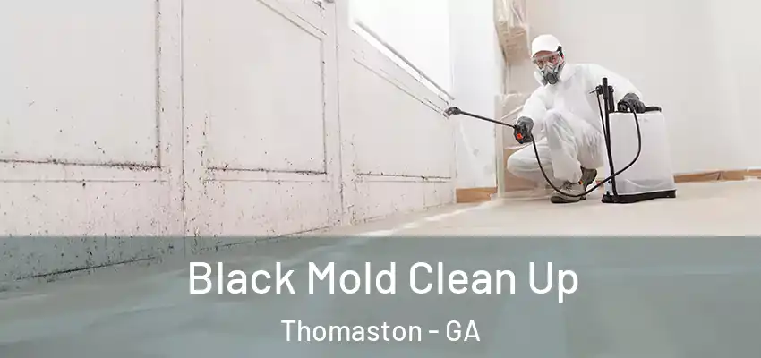  Black Mold Clean Up Thomaston - GA