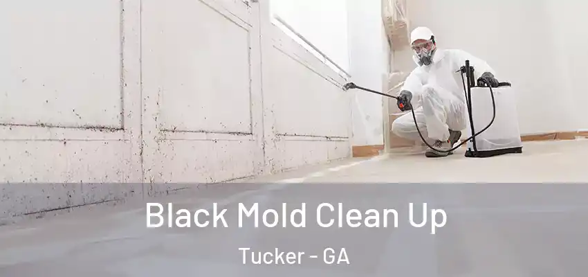  Black Mold Clean Up Tucker - GA