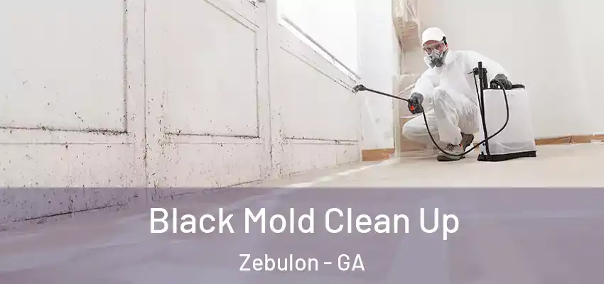  Black Mold Clean Up Zebulon - GA