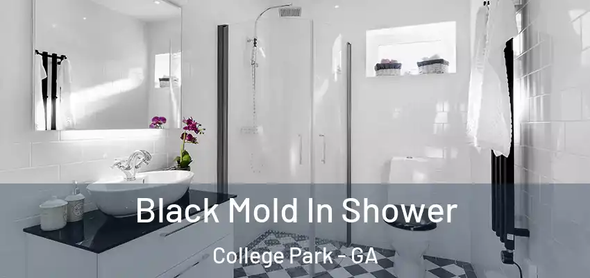 Black Mold In Shower College Park - GA