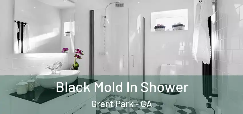  Black Mold In Shower Grant Park - GA