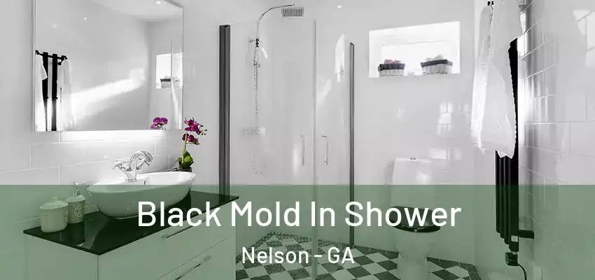 Black Mold In Shower Nelson - GA