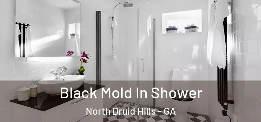 Black Mold In Shower North Druid Hills - GA