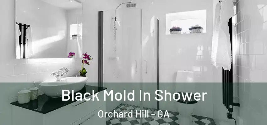  Black Mold In Shower Orchard Hill - GA