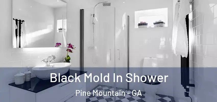 Black Mold In Shower Pine Mountain - GA
