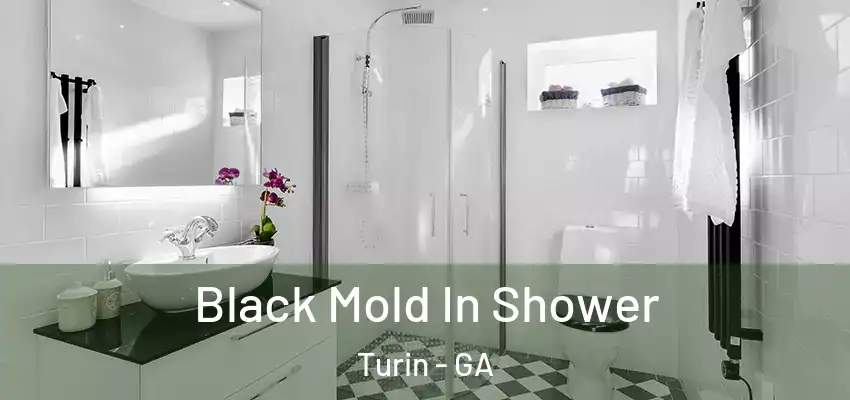  Black Mold In Shower Turin - GA