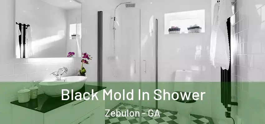  Black Mold In Shower Zebulon - GA