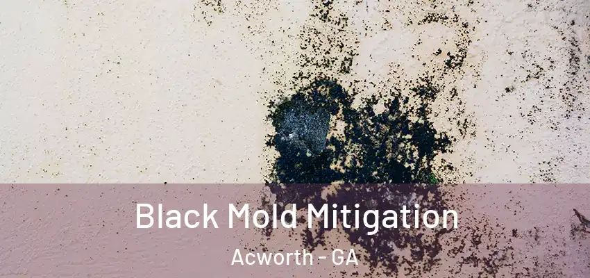 Black Mold Mitigation Acworth - GA