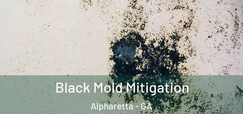  Black Mold Mitigation Alpharetta - GA