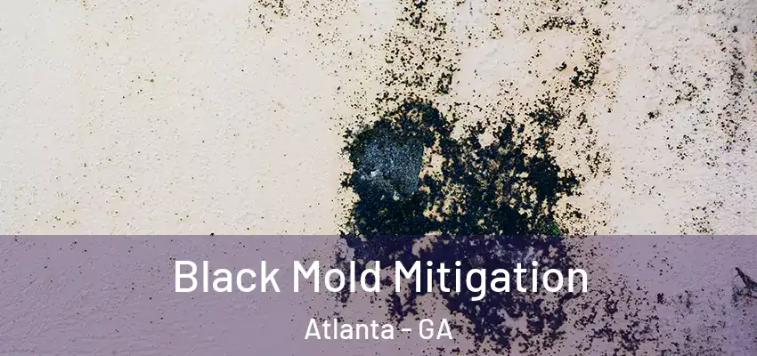 Black Mold Mitigation Atlanta - GA