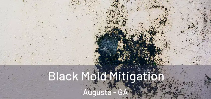 Black Mold Mitigation Augusta - GA