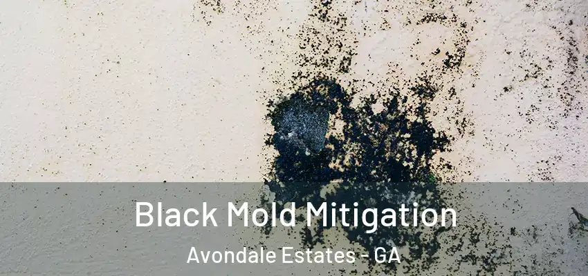 Black Mold Mitigation Avondale Estates - GA