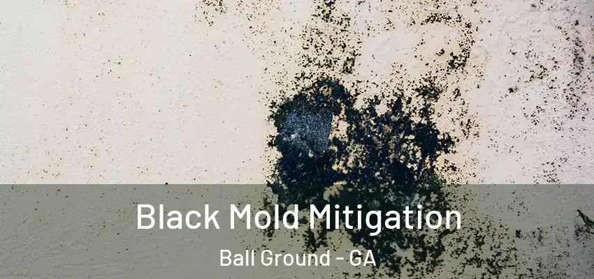  Black Mold Mitigation Ball Ground - GA
