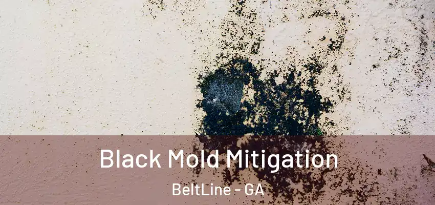 Black Mold Mitigation BeltLine - GA