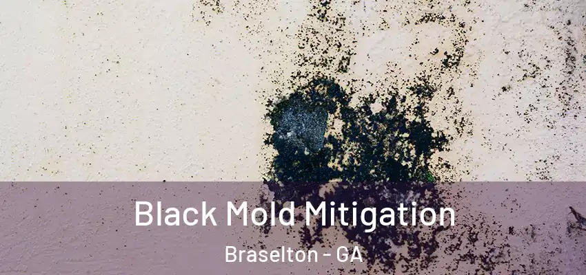 Black Mold Mitigation Braselton - GA