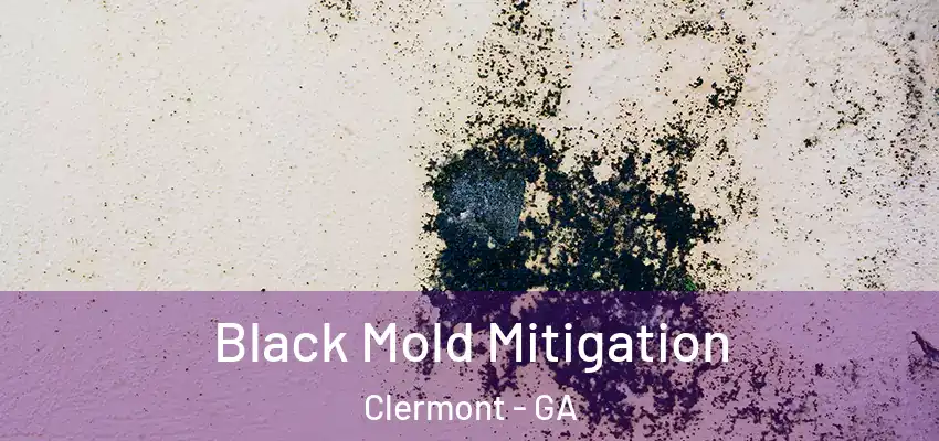  Black Mold Mitigation Clermont - GA