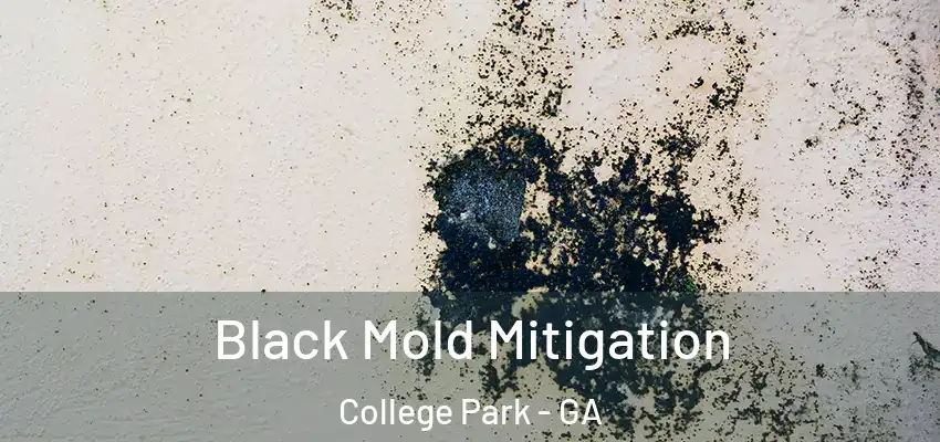 Black Mold Mitigation College Park - GA