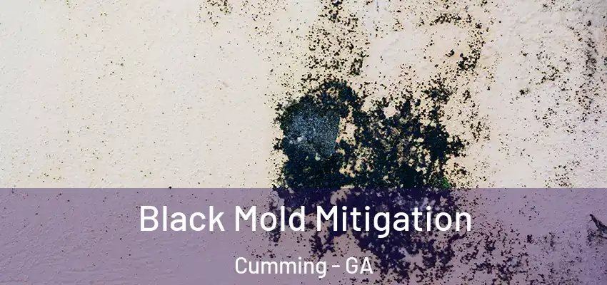 Black Mold Mitigation Cumming - GA