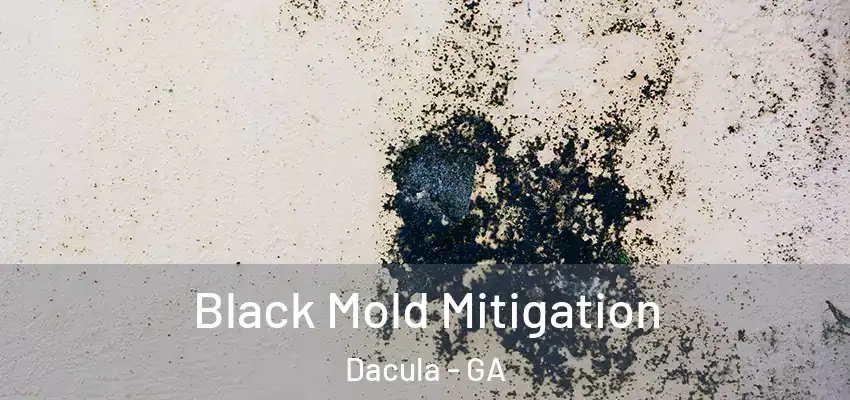  Black Mold Mitigation Dacula - GA