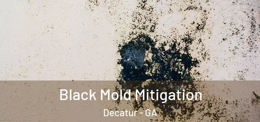 Black Mold Mitigation Decatur - GA